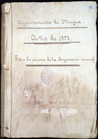 Libros de actas de sesións da Corporación municipal. Ano de 1893