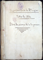 Libros de actas de sesións da Corporación municipal. Ano de 1894