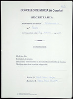 Expediente de sesión do Pleno. Sesións ordinarias e extraordinarias. Ano 1996